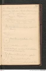 Seite 97, Tagebuch "Mießlingtal b[ei Spitz]" (NHMW-PRAE-BBB-28)